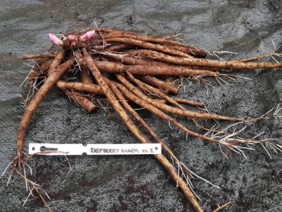 IMG_20251126_140718_result