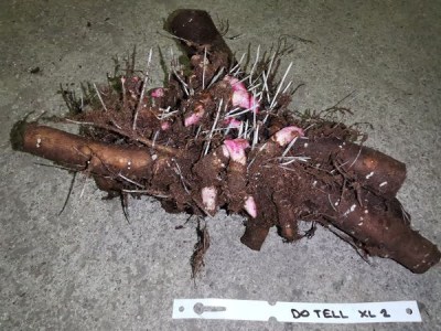 IMG_20251126_204725_result