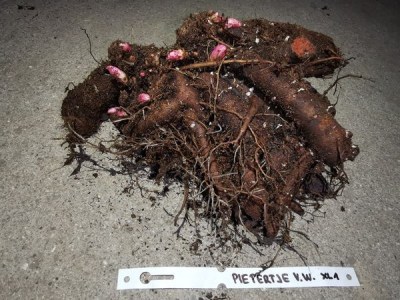 IMG_20251128_202749_result