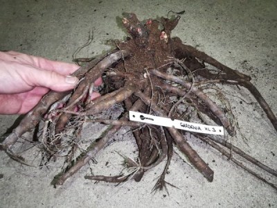 IMG_20251208_162327_result