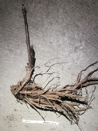 IMG_20251215_141902_result8