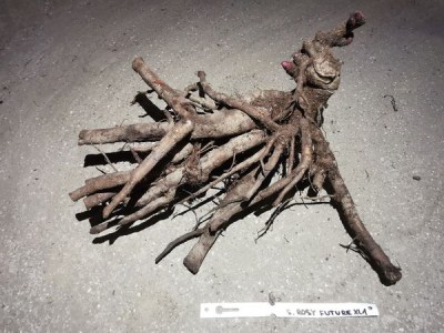 IMG_20251215_145716_result9